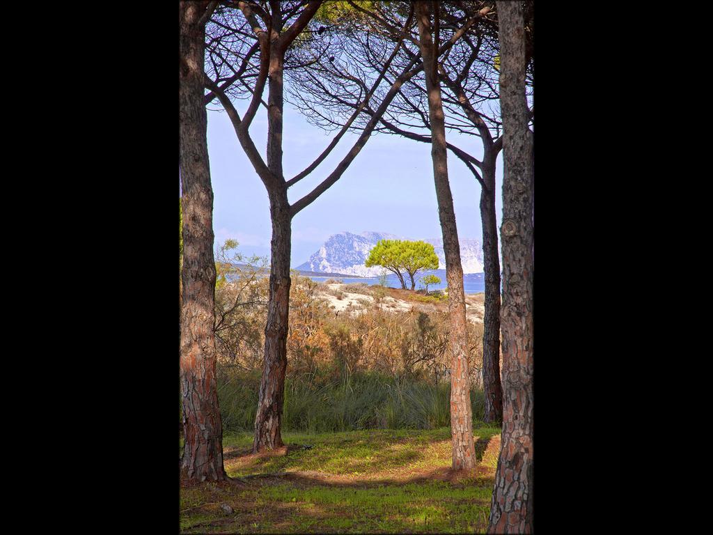 Aparthotel Residenze Mare E Pineta Budoni