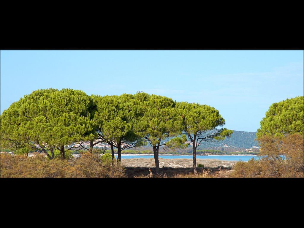 Aparthotel Residenze Mare E Pineta Budoni
